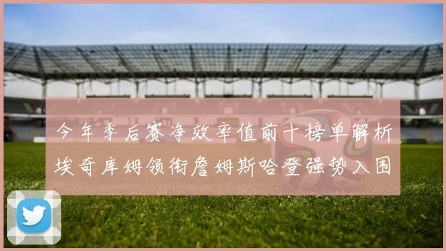 今年季后赛净效率值前十榜单解析埃奇库姆领衔詹姆斯哈登强势入围